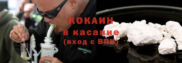 дживик Лагань